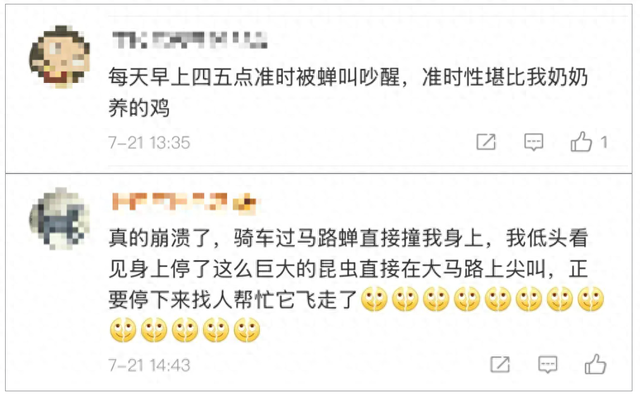 “被尿滋了一脸，还舔了舔……”最近很多人中招，实在崩溃！专家：今年是“大年”！