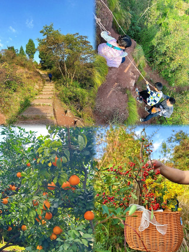 成都0.5h超小众亲子路线，登高望远摘果子，不走寻常路~