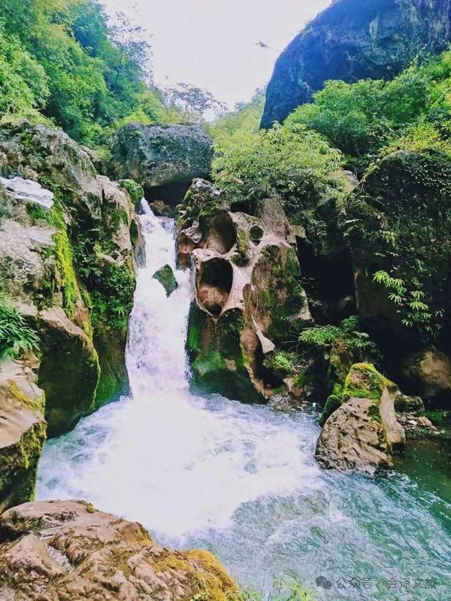 醉在雨碌，不思归途 郑维翠/图文