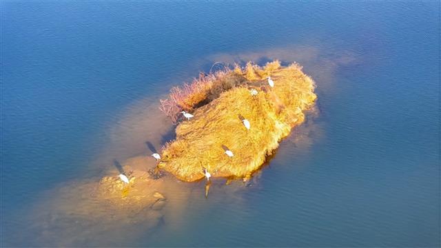 湖光山色 + 野鸭嬉戏！垫江迎风湖的初冬美景藏不住啦～