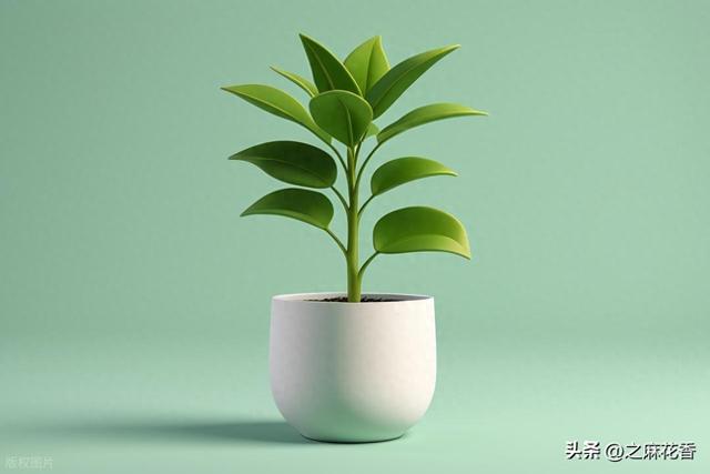 我的2025退休生活是这样过的