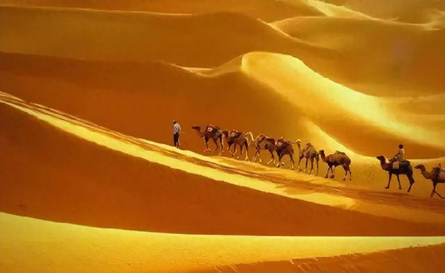 金色沙海藏粉色秘境！内蒙古这片土地，藏着哪些不为人知的秘密？