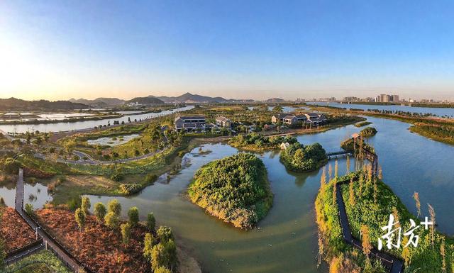 翠亨视窗｜公园占比20%！中山马鞍岛变身“湾区绿客厅”