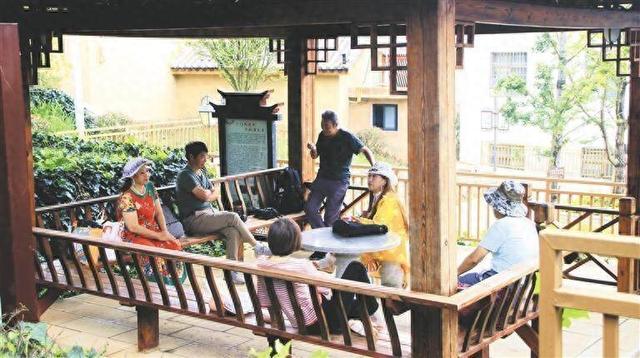 马龙区：促进旅居产业发展 绘就民族团结“同心圆”