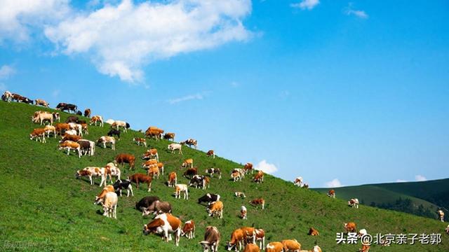 「北京-蔚县」小环线全攻略