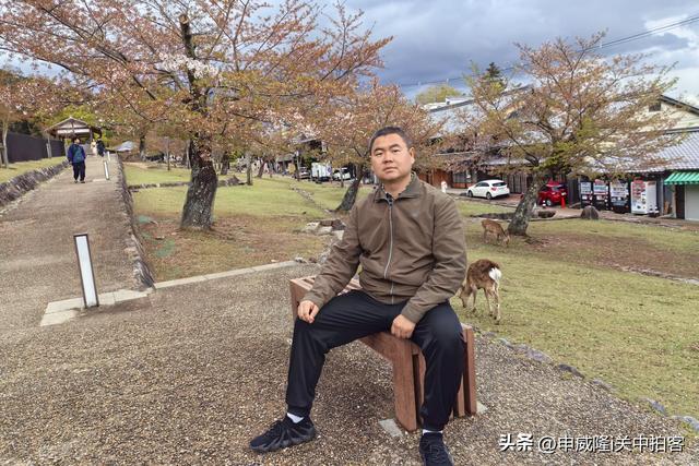 日本奈良：漫步若草山