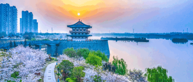 【美丽瀍河】走进霞光里的芦苇荡，聆听晚风絮语，畅游“毛茸茸”暖金花海！