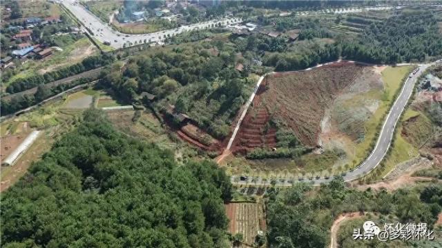 网友建议：修建怀化迎丰公园与怀化植物园桥梁通道，方便市民游览