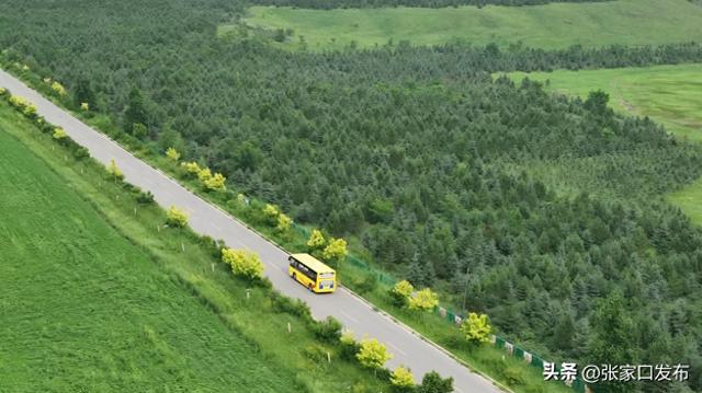 沽源县开通环湖线旅游公交线路