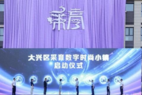 大兴区采育镇数字时尚小镇正式启动