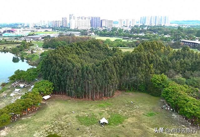 成都市区最大免费露营地，可以烧烤、烤肉，公共交通可到达！