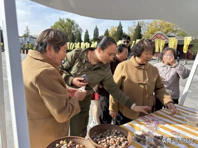 洪洞大槐树景区“冬日暖人心”活动上线