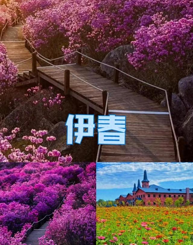 我是杭州人，来趟黑龙江伊春，有三个疑问一直不明白，忍不住说下