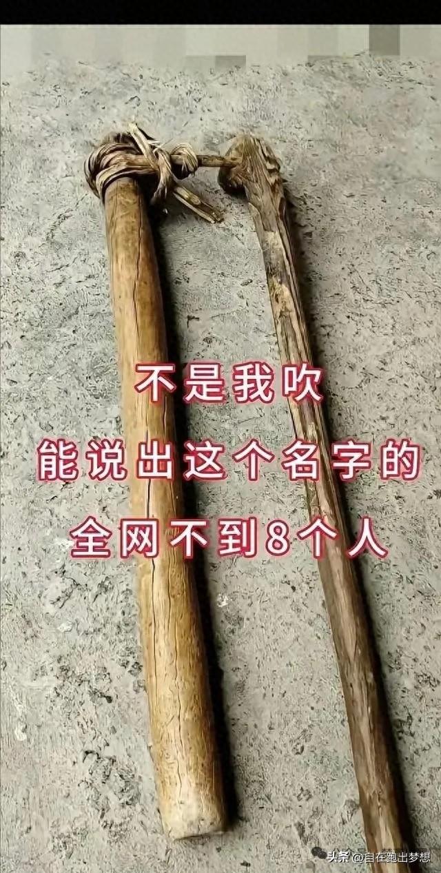 全网能叫出它名字的不足8人？ 老铁们，敢不敢来挑战一下？！