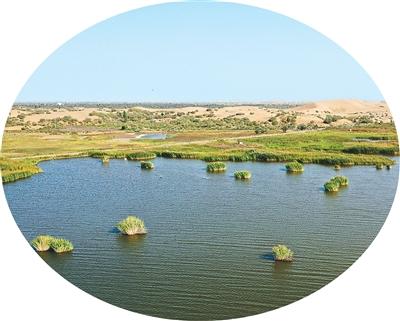 大漠深处访牧民新居