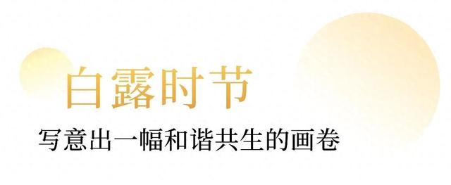 惊艳刷屏！外交部赵立坚微博六连发，热情推荐上饶文旅！