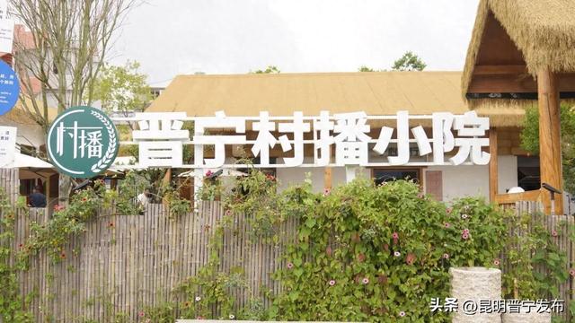 昆明云上花旅季：探访晋宁玫瑰的“云上蝶变”之路