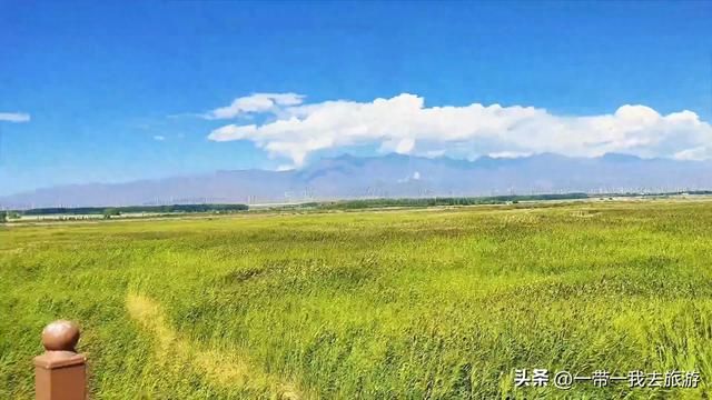 乌鲁木齐一柴窝堡湖湿地公园