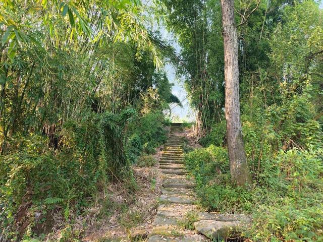 重庆巴南山中藏有一座荒废寺庙，破败不堪，门口石狮守护几百年