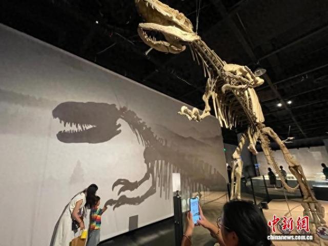 抓住暑期尾巴 上海自然博物馆推出“疯狂恐龙周”夜场活动