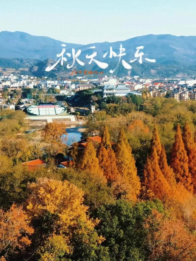 想和你在武夷山，赴一场秋色之约