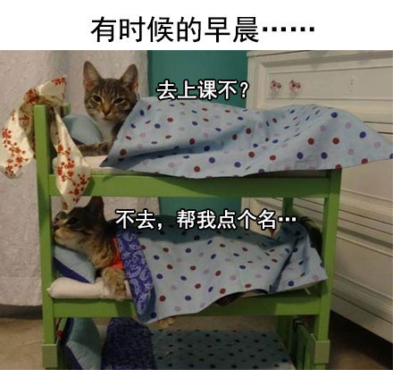 女大宿舍攻略视频（700万人在线看大学寝室勾心斗角）