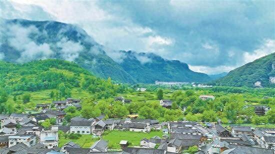 从深山到湾区：东西部协作激活梵净山下的N种可能