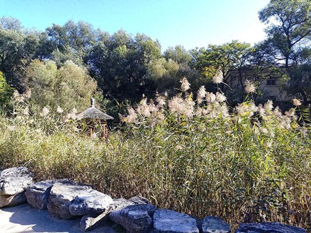 趁秋日暖阳，来八大处感受与自然共处的温柔→