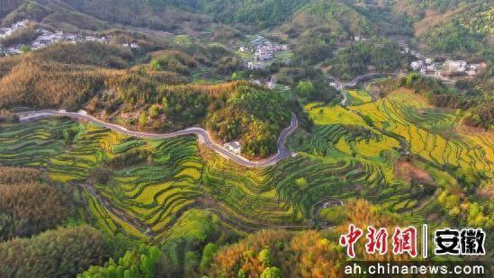 徽州区一案例入选2025年安徽省研学旅游“新业态”十佳案例
