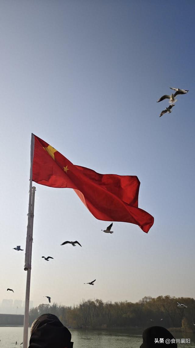 水与墨的交界：天鹅之城，三门峡六记