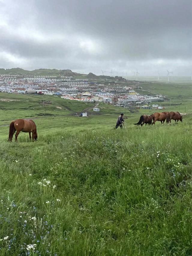 入金窝,住新房, 永远不忘共产党