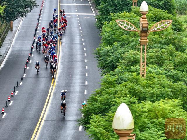 从专业竞技到“全民乐游”，雅安打造“骑行旅游”IP丨市州观察