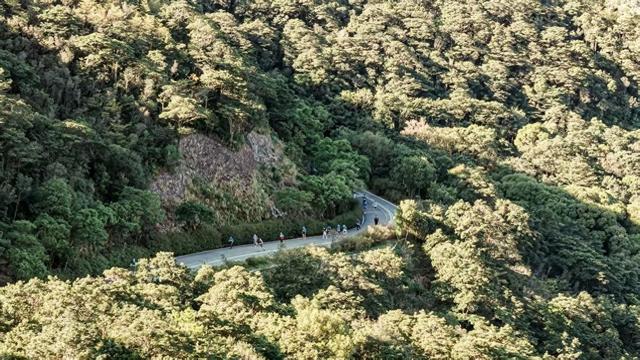 深圳罗湖系统推进“山海连城”计划 将生态禀赋转化为绿色福祉