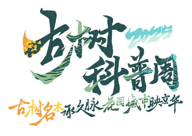 北京十六区，区区有“树王”！古树科普宣传周活动将启动