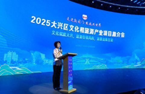 2025北京大兴区文化和旅游产业项目推介会圆满举办
