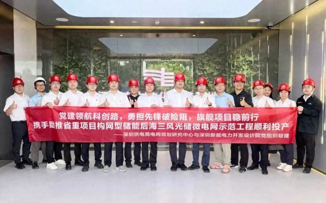 国内首套变电站构网型风光储一体化系统投运！