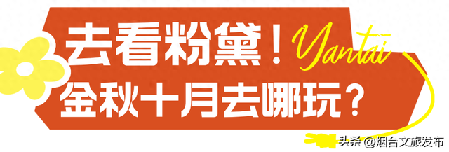 【乐游烟台】十月好去处丨别眨眼！接下来的烟台美到封神