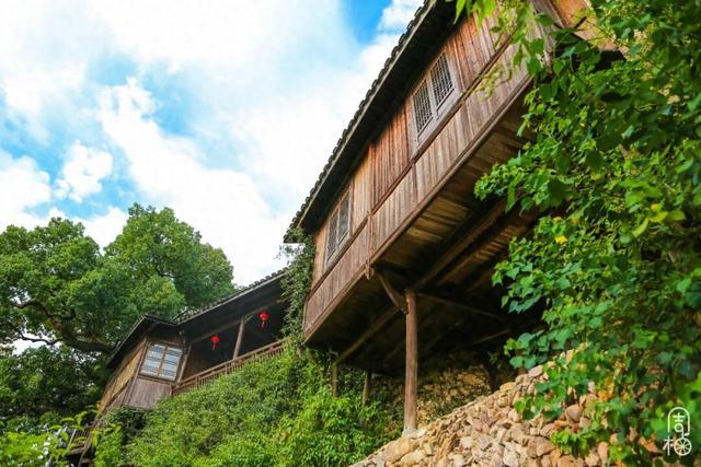 在浙南400年古村里，过一段“可呼吸”的时光