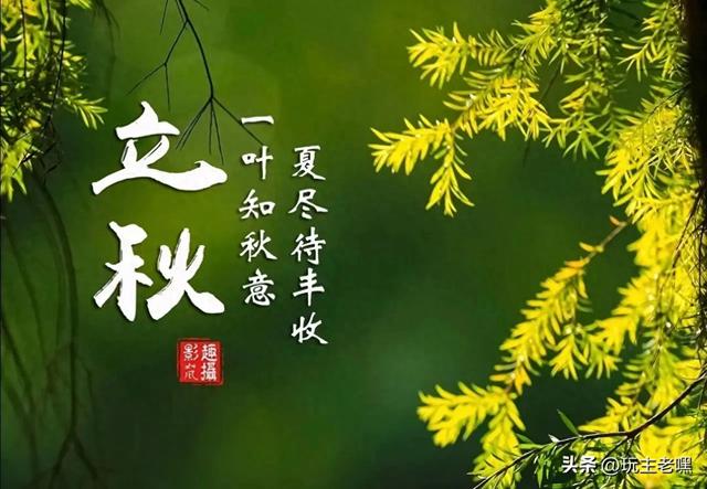 疆藏云贵行87，立秋