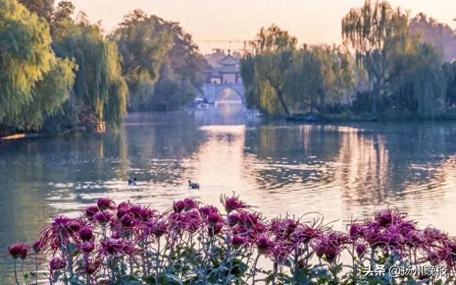 瘦西湖菊花会11月1日开幕，看看有啥亮点？
