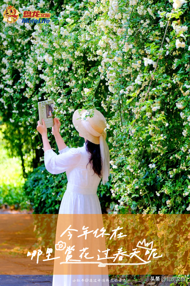 盘龙绝美出片地曝光！网友：被美迷糊了