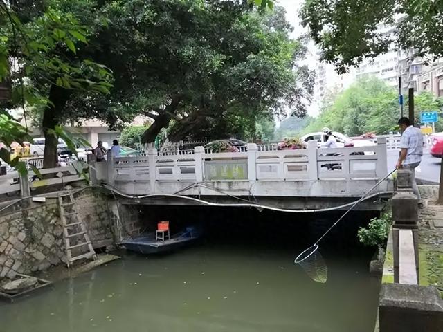 温州双莲桥：一对青年，为爱相殉，化身并蒂莲，温州“梁祝”传奇