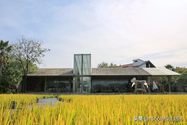 稻浪浸温汤，古村藏清欢