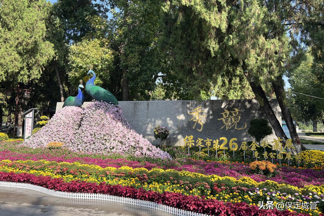 保定：古城秋色染菊韵 双节人游画中园—— 花海书潮引客近80万人次
