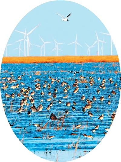 “寻鲜”游让游客“走进来、留下来”