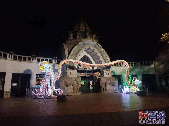 谱写中匈文化交流新篇章 “世界动物中国彩灯节”在布达佩斯启幕