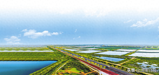 大美大荔，从“起势”到“腾飞”——“十四五”大荔县经济社会高质量发展纵览