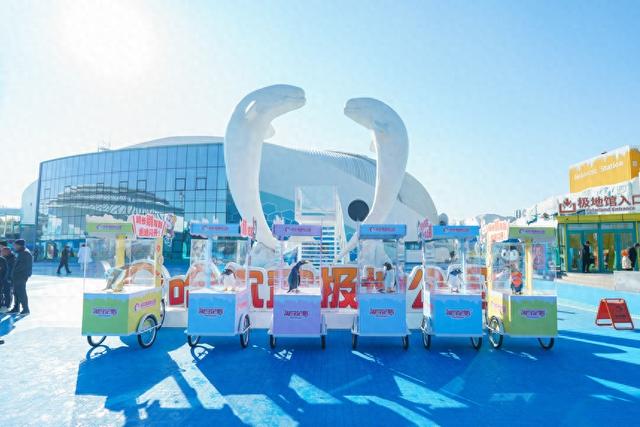 全城偶遇！哈尔滨被“淘学企鹅”小分队占领啦！