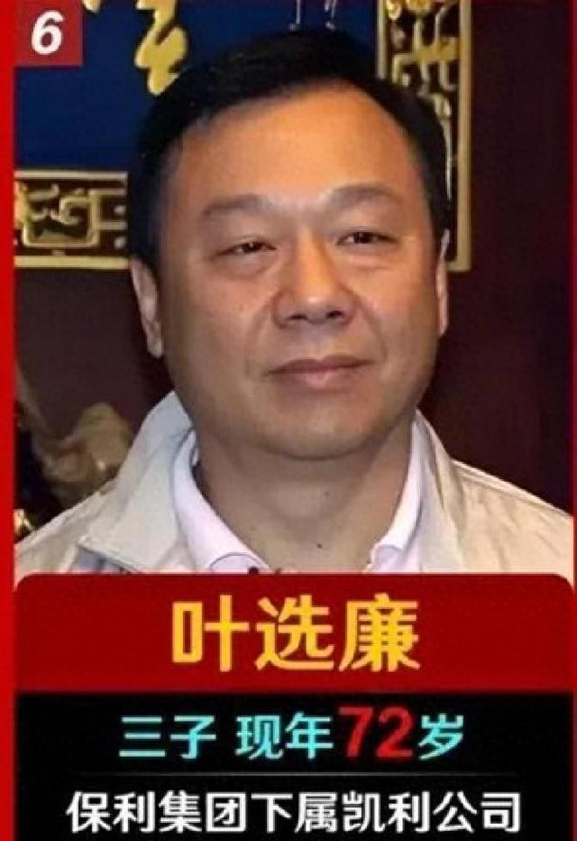 叶剑英儿子叶选廉个人简介（保利集团下属凯利公司董事长）