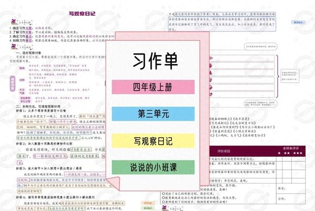 观察日记格式（一起备课📝观察日记这么写）